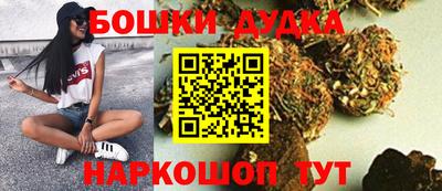 молекула духа Ставрополь
