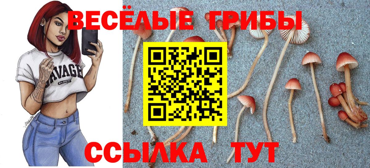 Галлюциногенные грибы Magic Shrooms Санкт-Петербург
