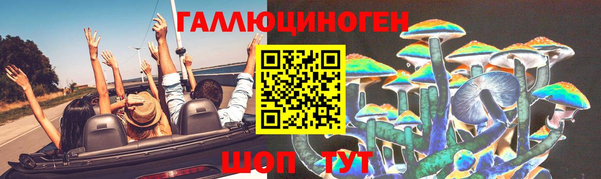 Галлюциногенные грибы Psilocybine cubensis  Вход с VPN  Санкт-Петербург 