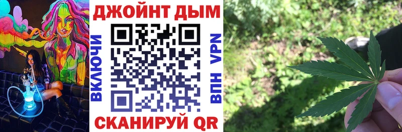 Конопля план  наркотики  Санкт-Петербург 